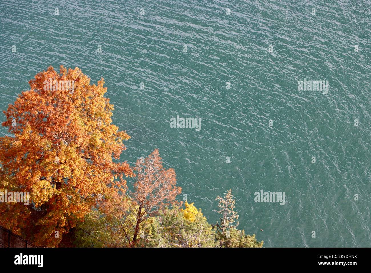Couleurs d'automne sur la rive du lac Érié à Lakewood, Ohio Banque D'Images