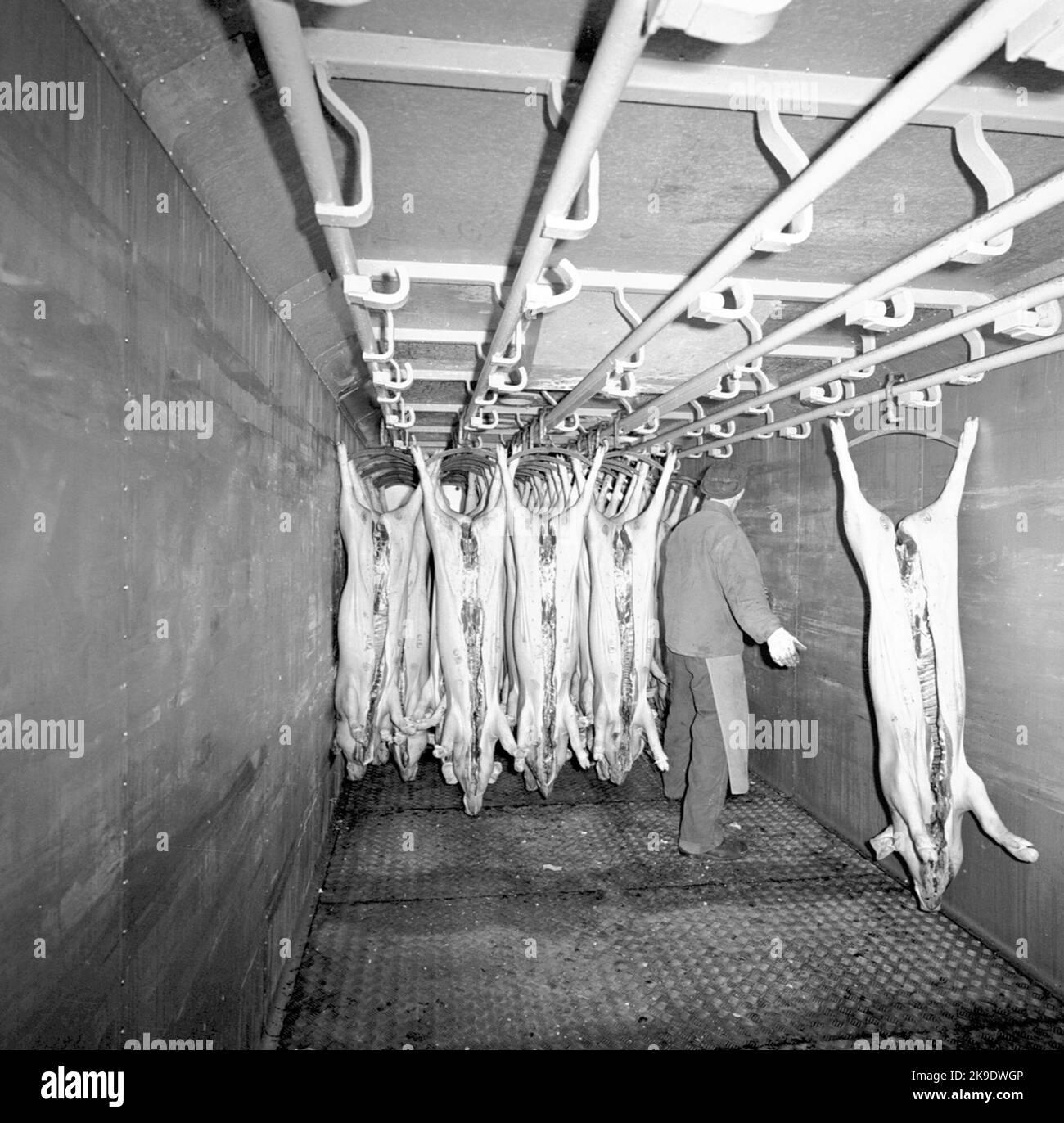 Chariot de refroidissement pour mattransport. SJ HU 64392 Banque D'Images