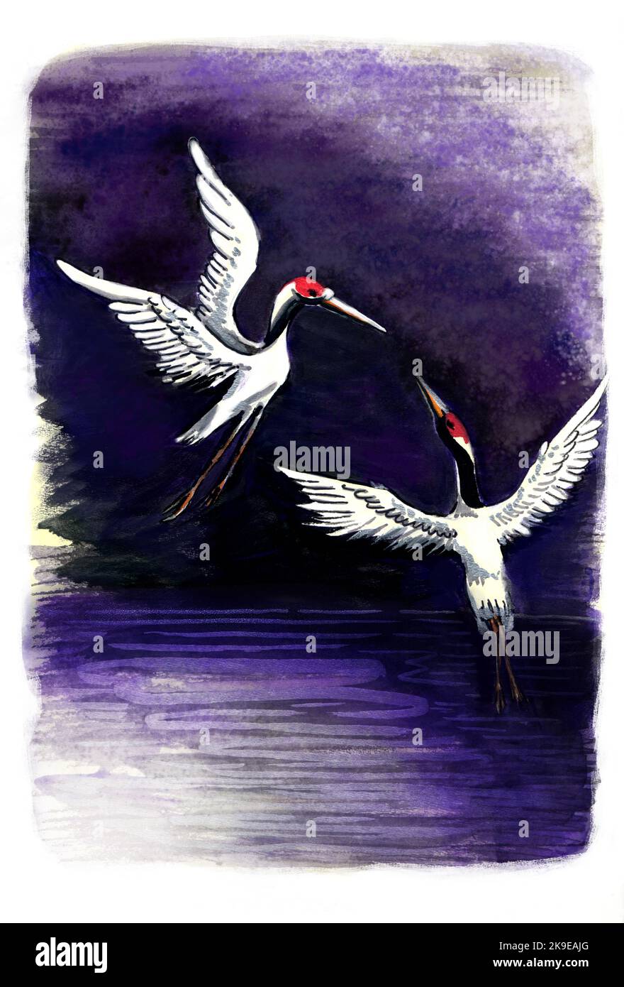 Deux grues blanches dansantes en technique aquarelle. Banque D'Images