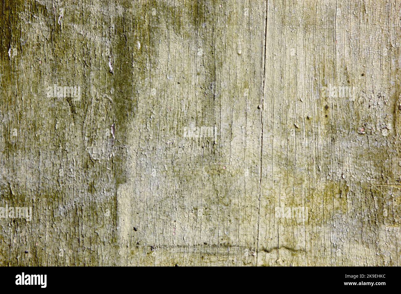 Arrière-plan en bois vintage avec peinture écaillée. Vieux bois texture grunge arrière-plan, rayure de peinture verte sur les planches de mur en bois Banque D'Images