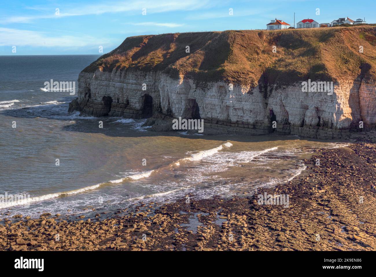 Flamborough Head, Yorkshire, Angleterre, Royaume-Uni Banque D'Images