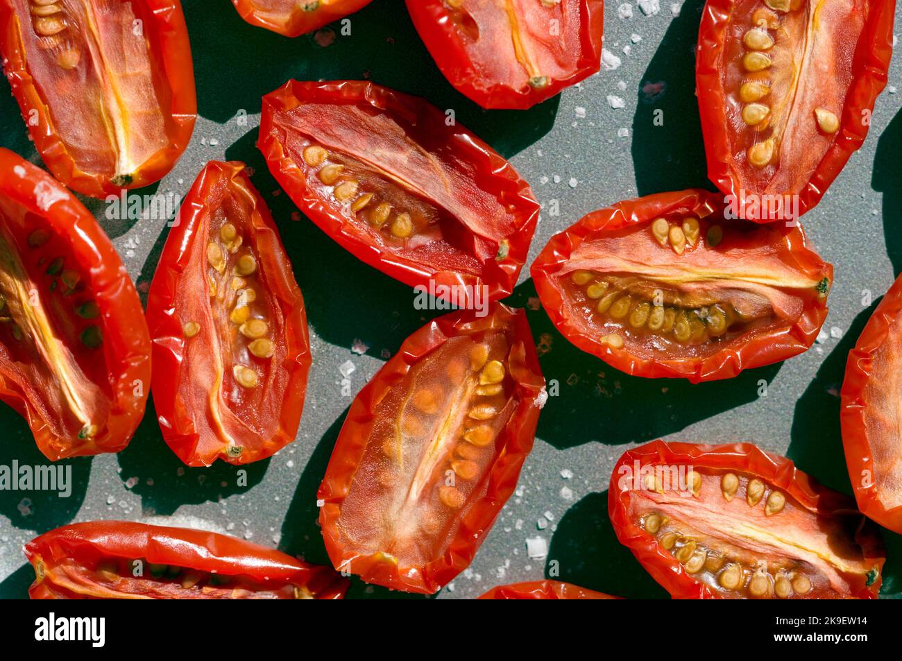 Jeunes tomates prune séchant au soleil Banque D'Images