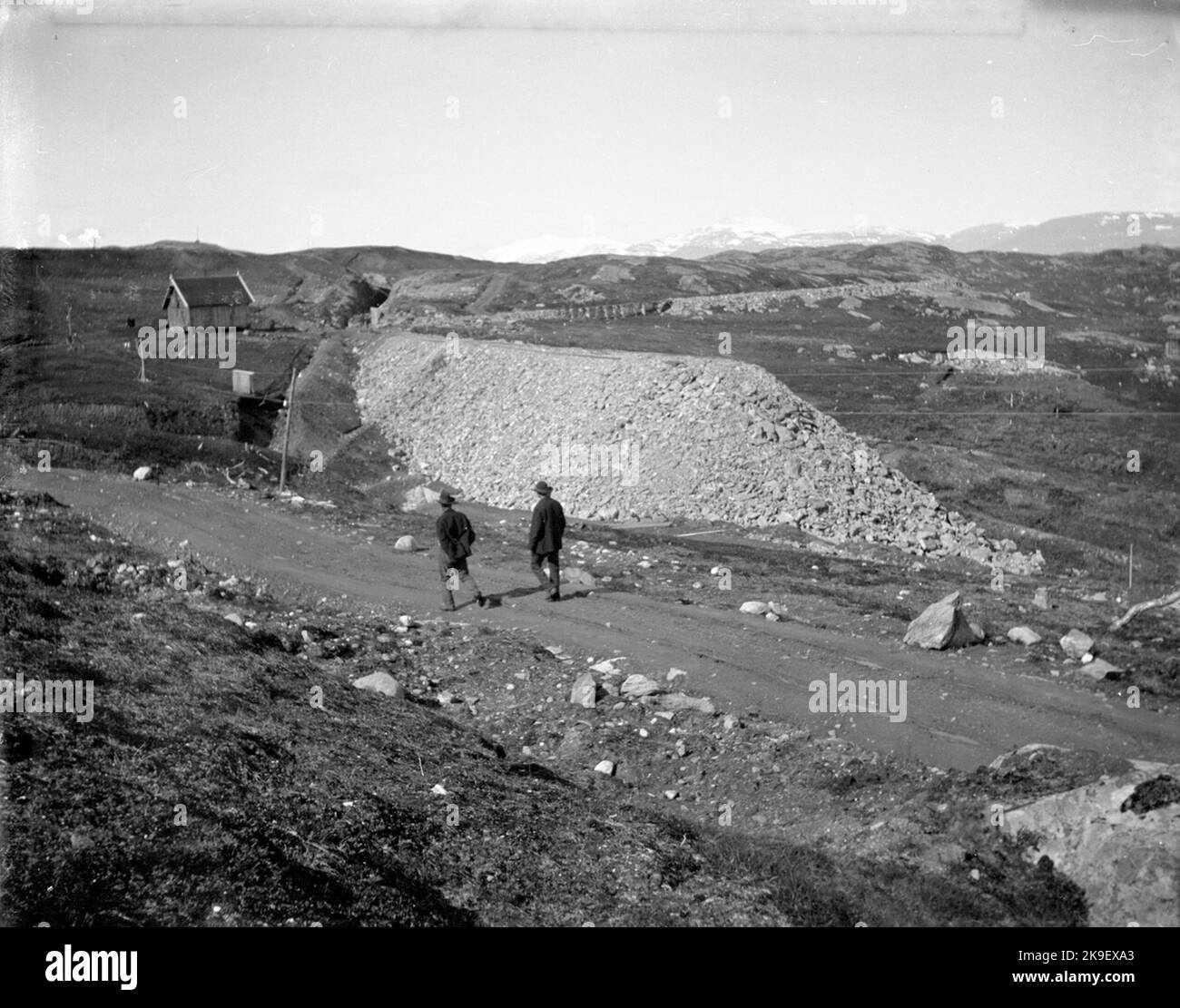 Professionnel de la banane Banque D'Images