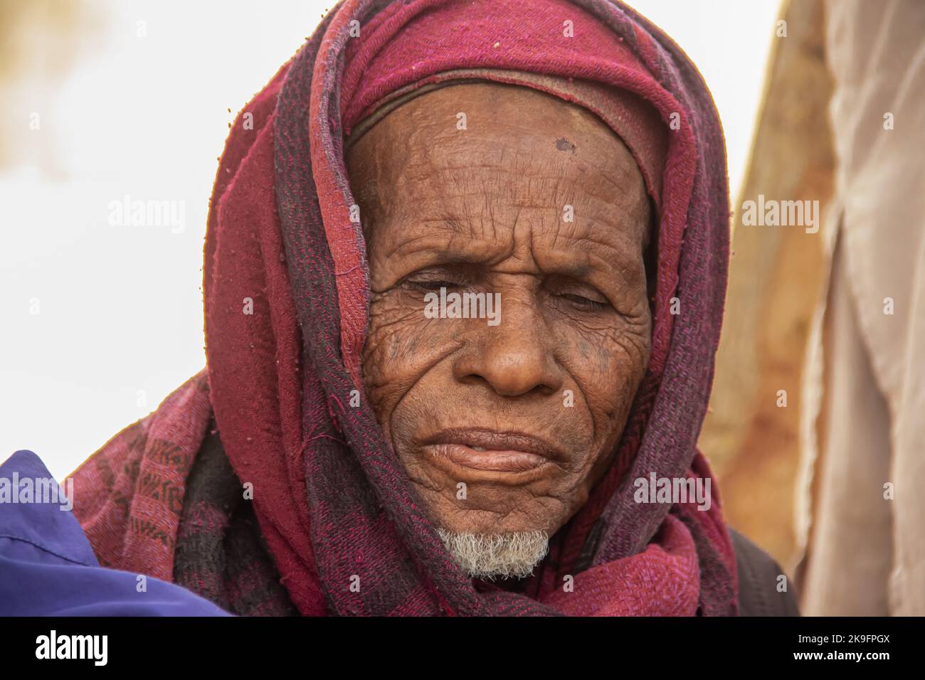 Tribus africaines, Nigeria, État de Borno, ville de Maiduguri. Tribu des Fulani habillée traditionnellement en vêtements colorés Banque D'Images