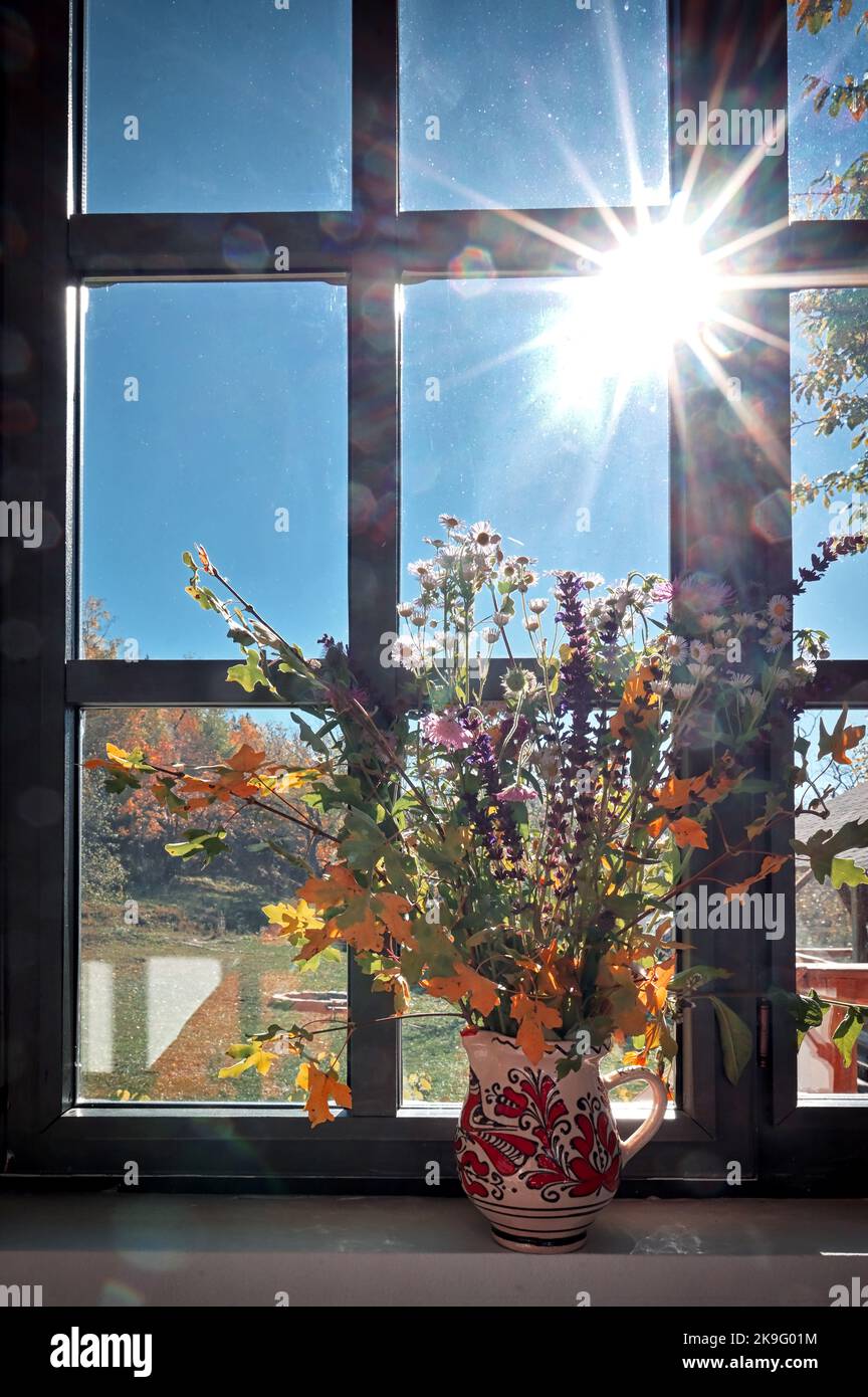 Bouquet de fleurs et de feuilles d'automne sur le rebord de la fenêtre et les rayons du soleil Banque D'Images