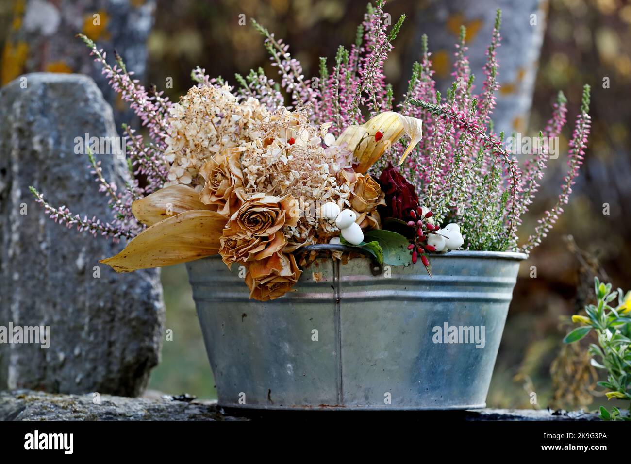 Fleurs séchées et calluna sur un pot Banque D'Images
