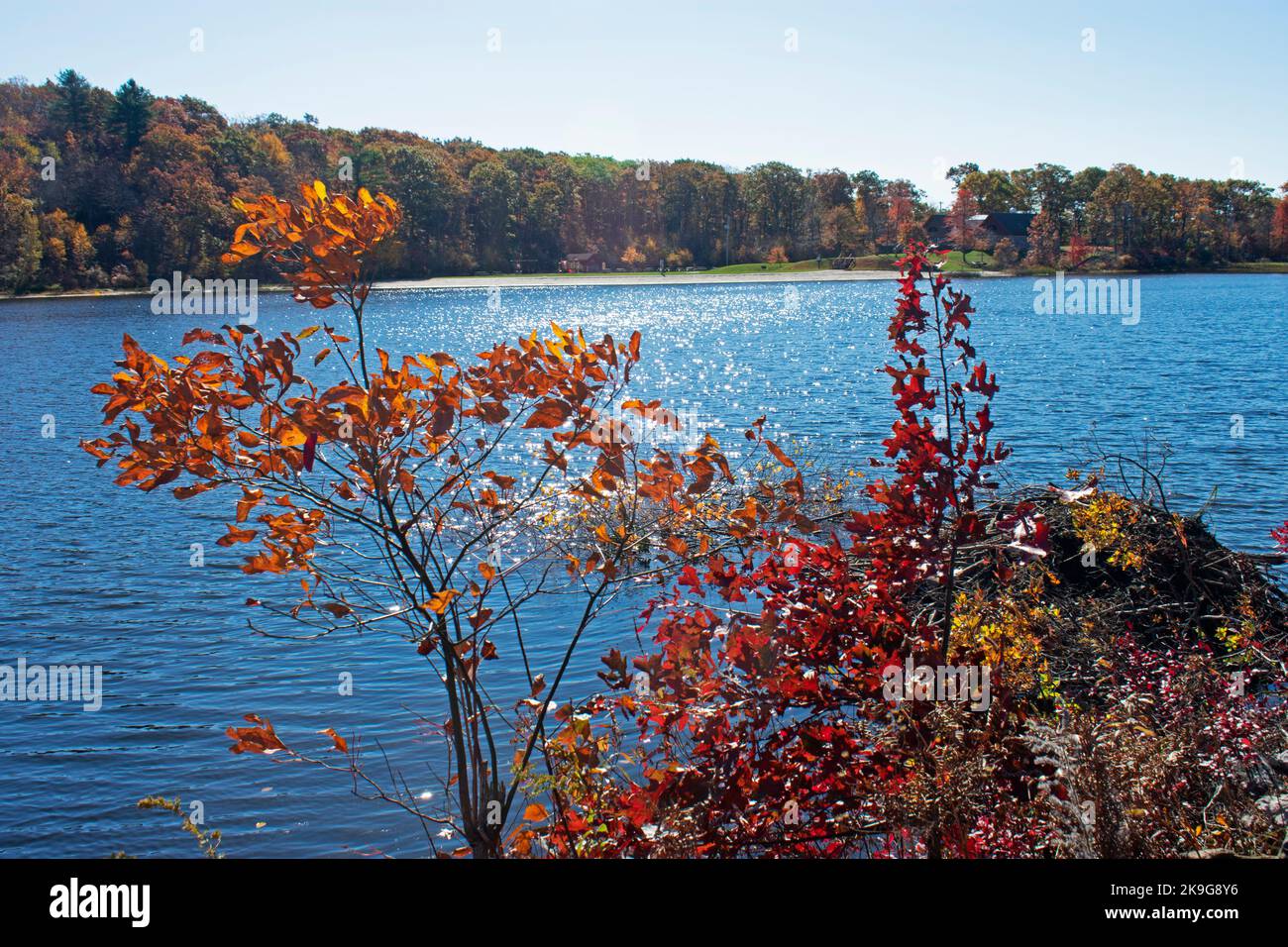 Le lac Marcia du parc national de High point du New Jersey, lors d'une journée d'automne ensoleillée, entouré d'une végétation luxuriante -05 Banque D'Images