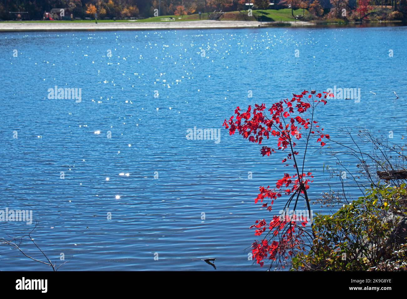 Le lac Marcia du parc national de High point du New Jersey, lors d'une journée d'automne ensoleillée, entouré d'une végétation luxuriante -06 Banque D'Images