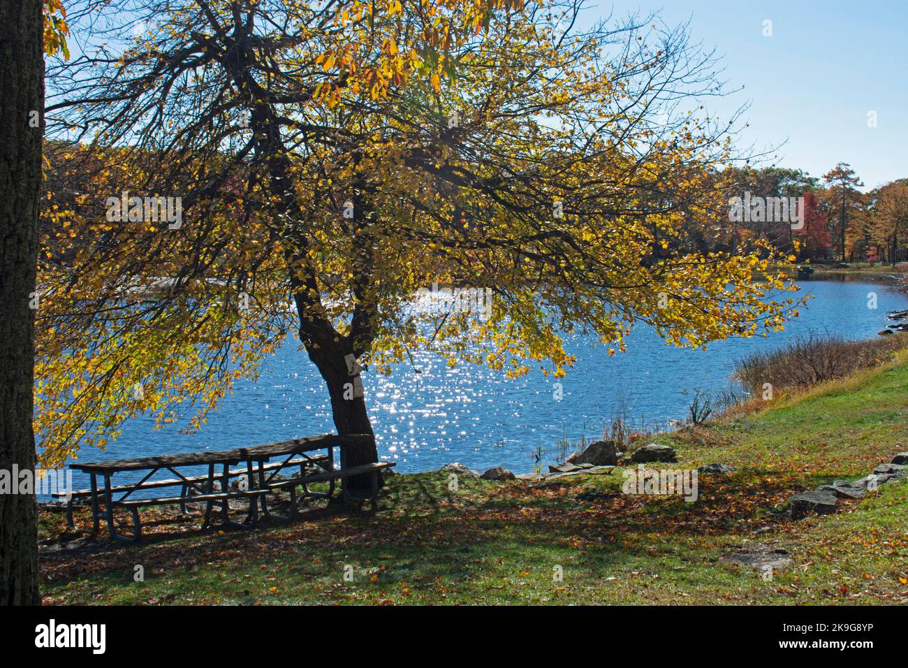 Le lac Marcia du parc national de High point du New Jersey, lors d'une journée d'automne ensoleillée, entouré d'une végétation luxuriante -08 Banque D'Images