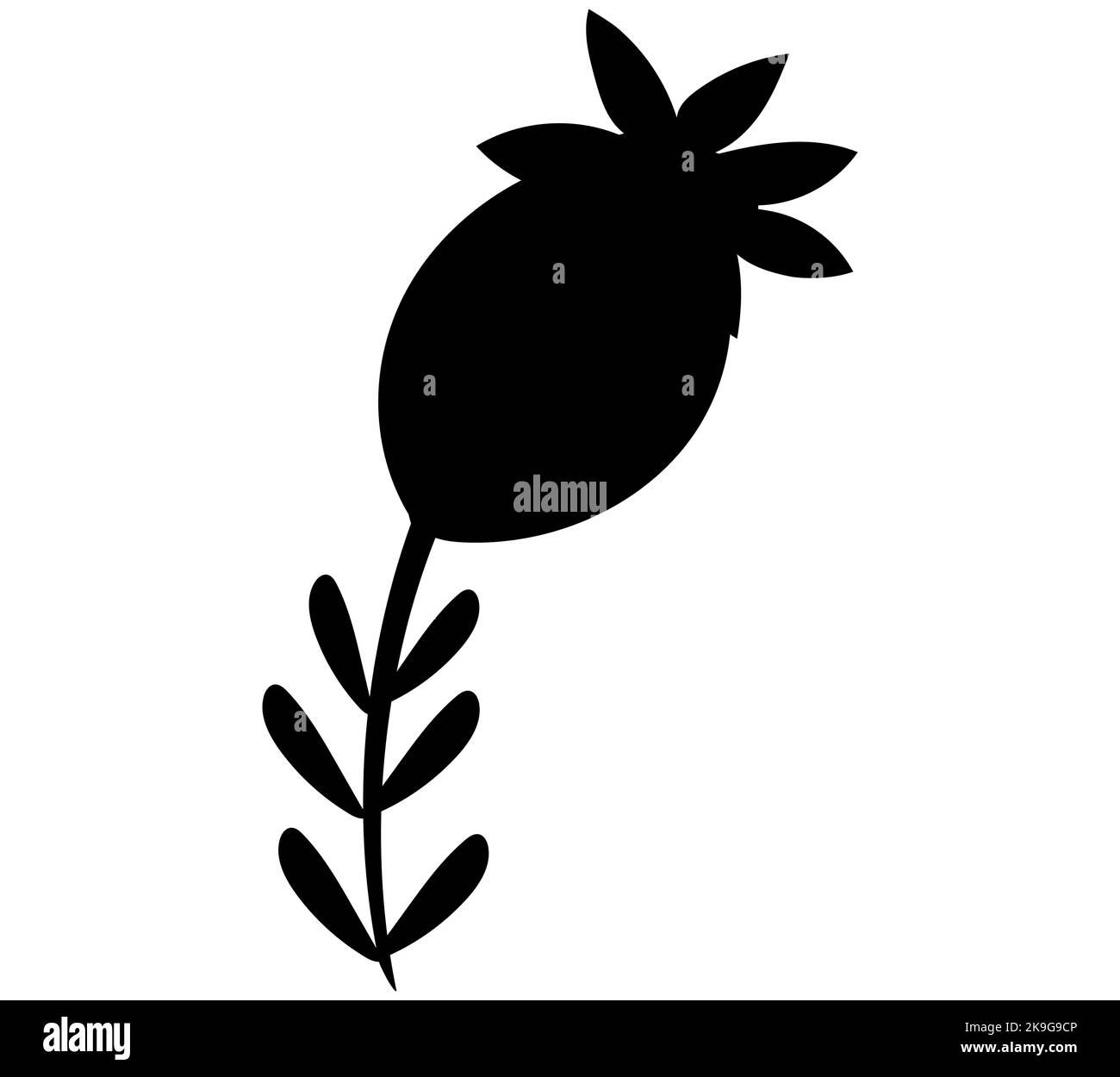 Une fleur sans fleur avec beaucoup de feuilles sur ses tiges, illustration noire de vecteur de silhouette Illustration de Vecteur