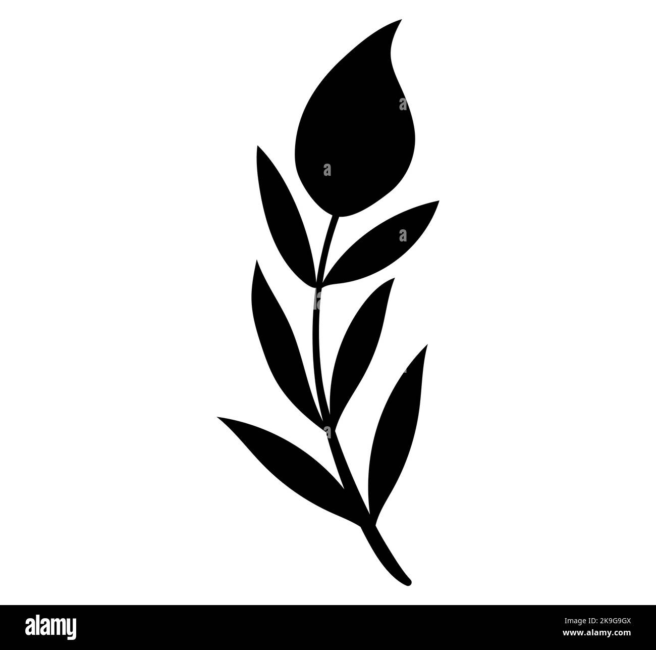 Une silhouette noire d'une fleur sans fleur avec beaucoup de feuilles sur ses tiges Illustration de Vecteur