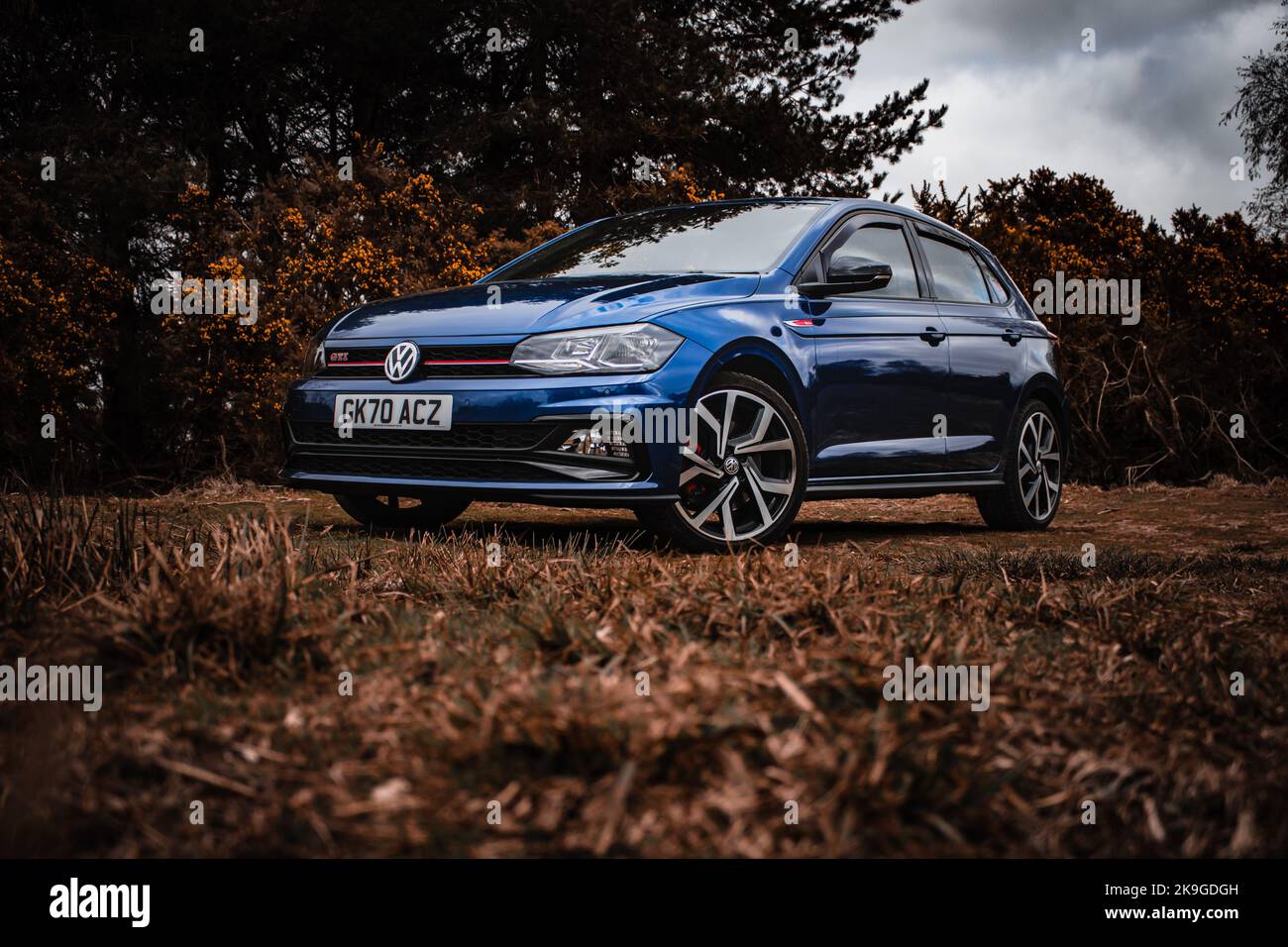 Un polo Volkswagen bleu dans les bois. Banque D'Images