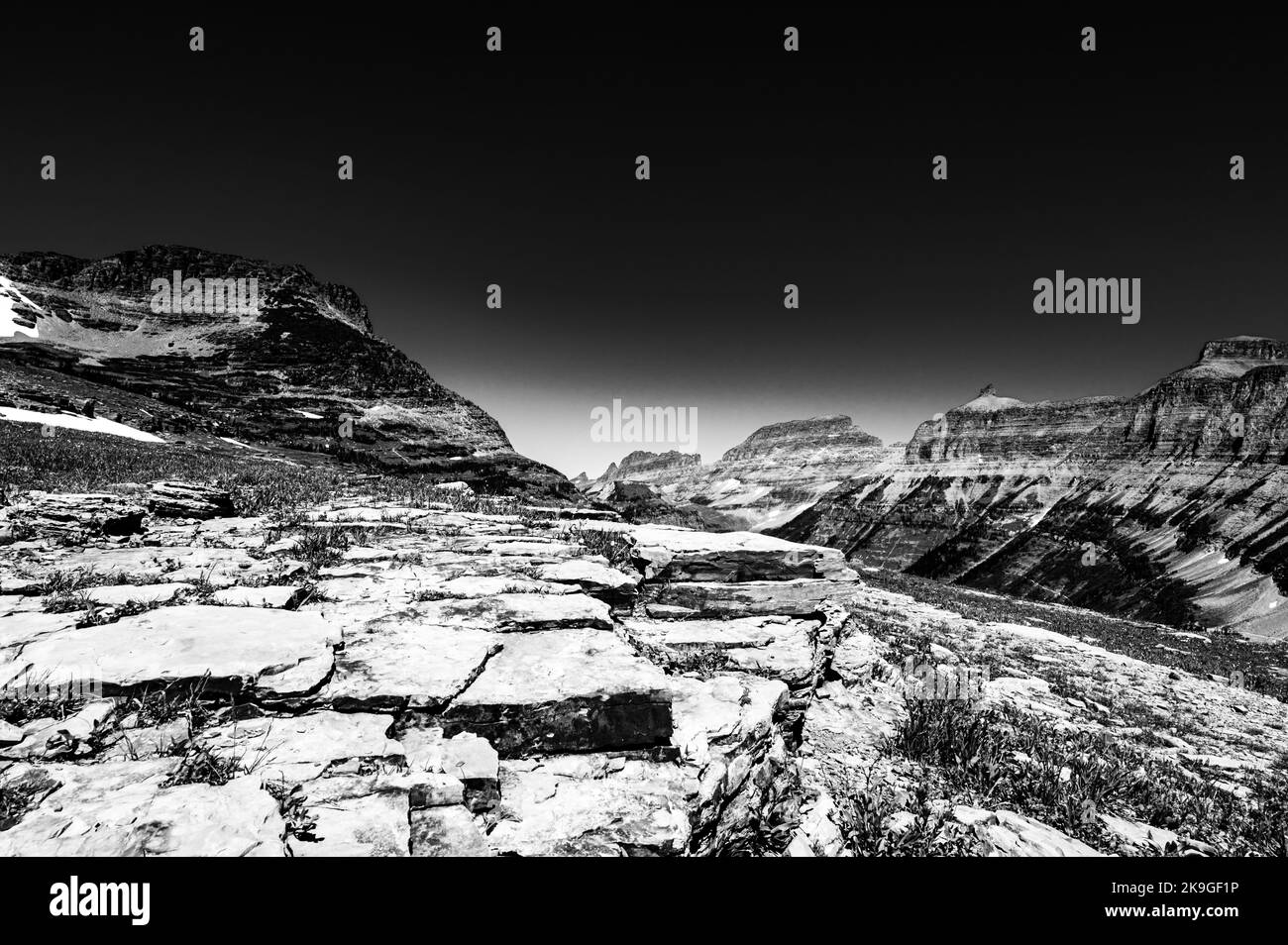 Affleurement rocheux sédimentaire le long du sentier de Logan Pass dans le parc national des Glaciers, Montana. Banque D'Images