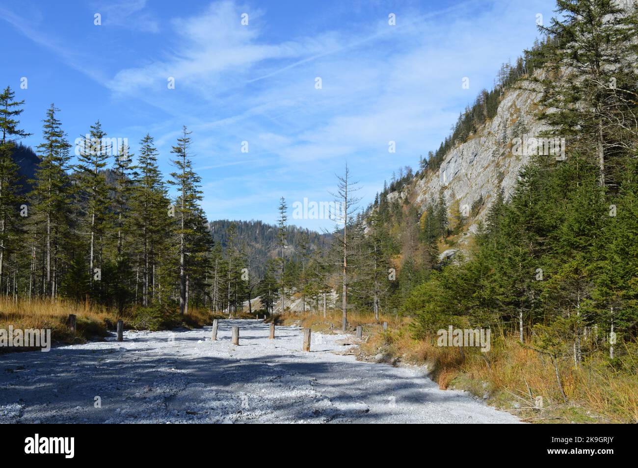 Trockenes Flussbett im Brunntal, Wildalpen, Steiermark, lit de rivière sec à Brunntal, Wildalpen, Styrie Banque D'Images