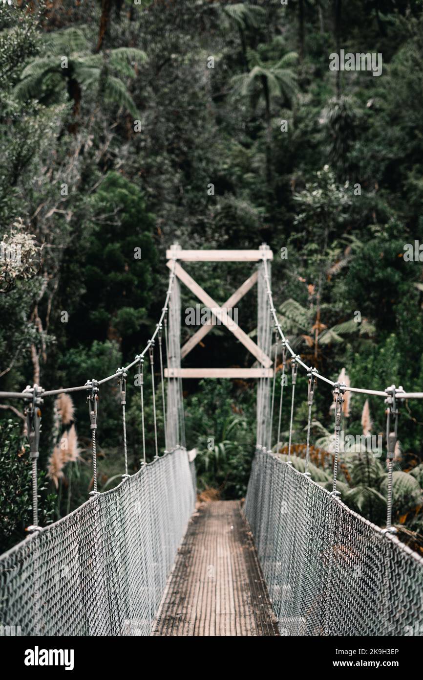 vieux pont étroit long en suspension de bois avec de fines rampes en fil de fer et des cordes en métal épais traversant la forêt sur l'île de donut, en nouvelle-zélande Banque D'Images