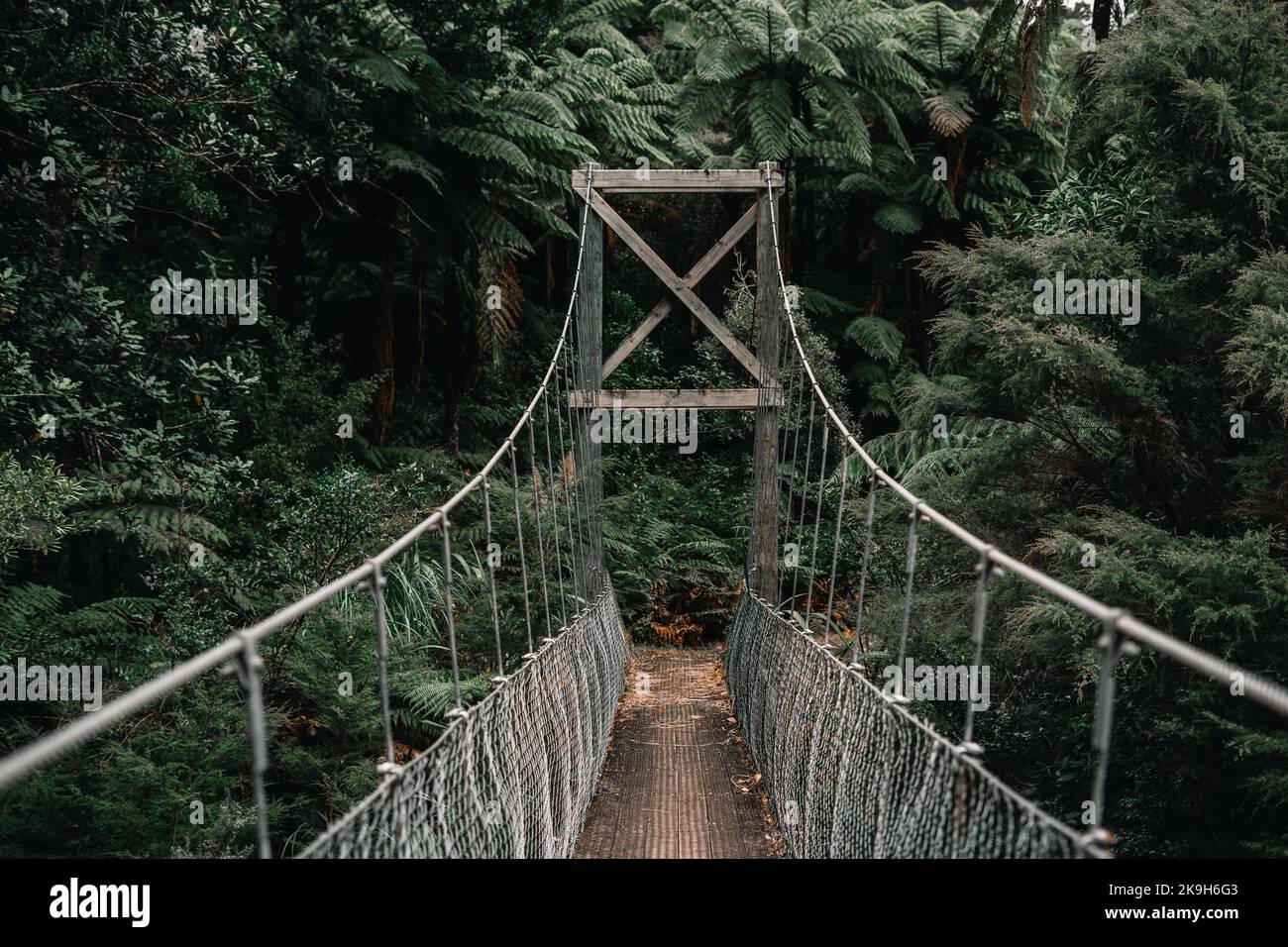 pont étroit en bois et en corde avec supports métalliques traversant entre les arbres et la végétation forestière sur l'île de donut, en nouvelle-zélande Banque D'Images