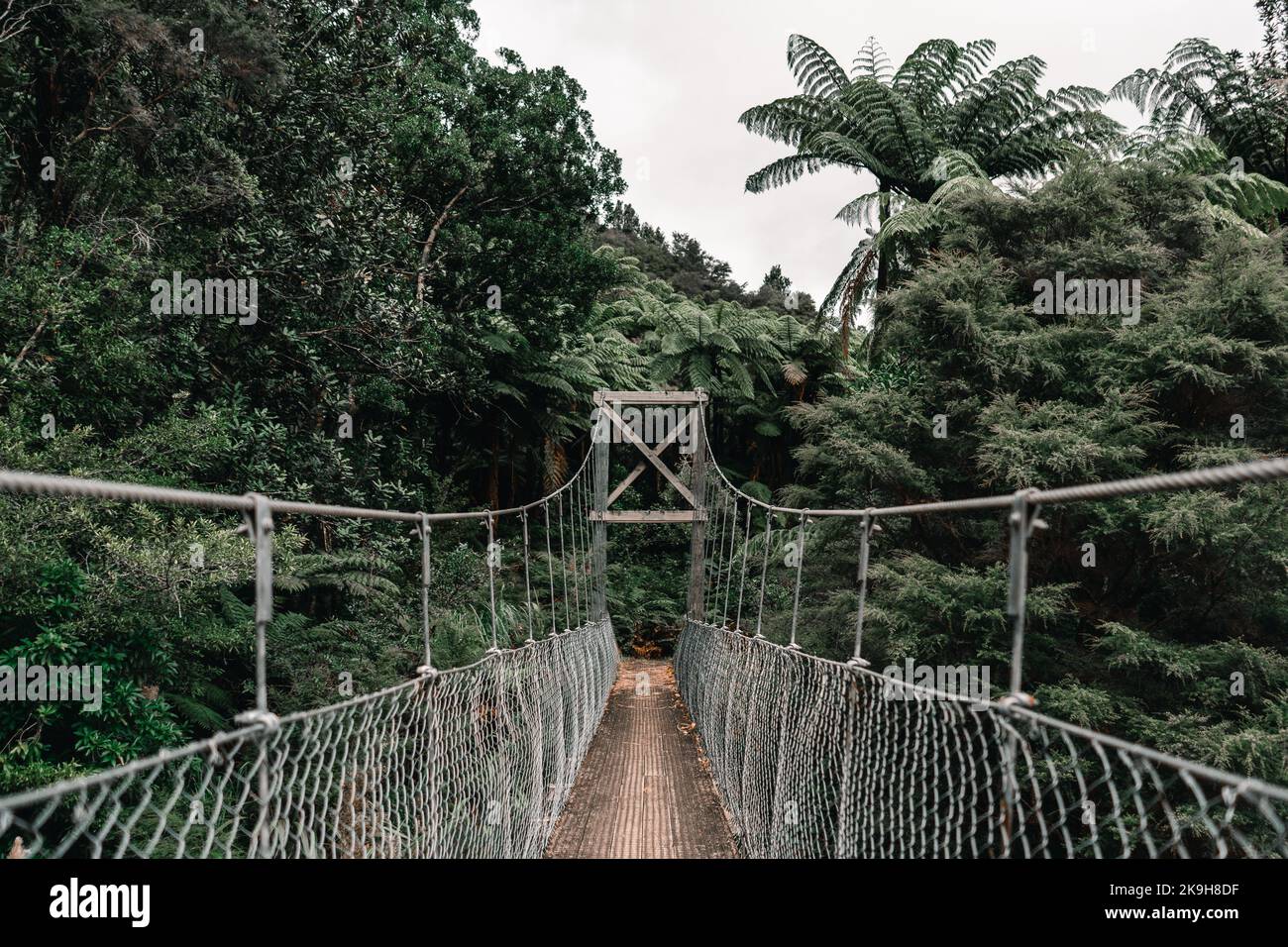 longue passerelle étroite à suspension avec supports métalliques et piliers de lattes en bois traversant la végétation forestière sur l'île de donut, en nouvelle-zélande Banque D'Images