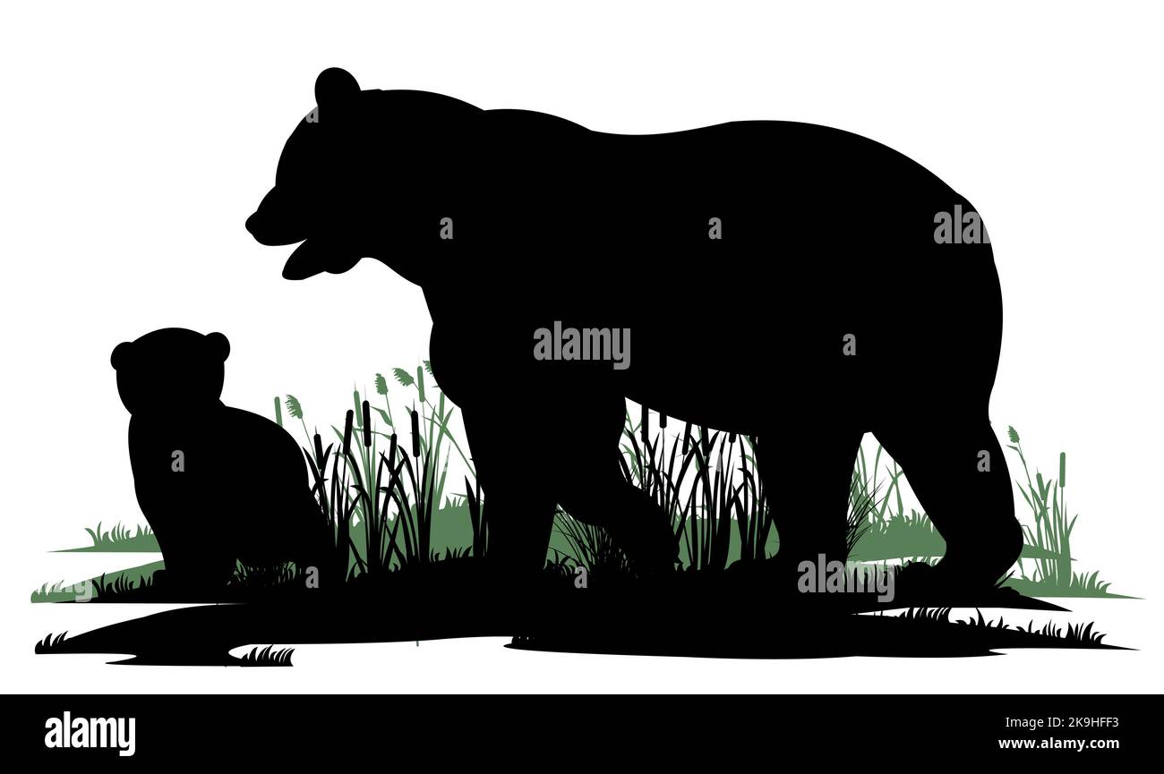 Mère ours avec cub. Animaux sauvages. Silhouette. Glade dans le marais. Herbe et roseaux. Isolé sur fond blanc. Vecteur. Illustration de Vecteur
