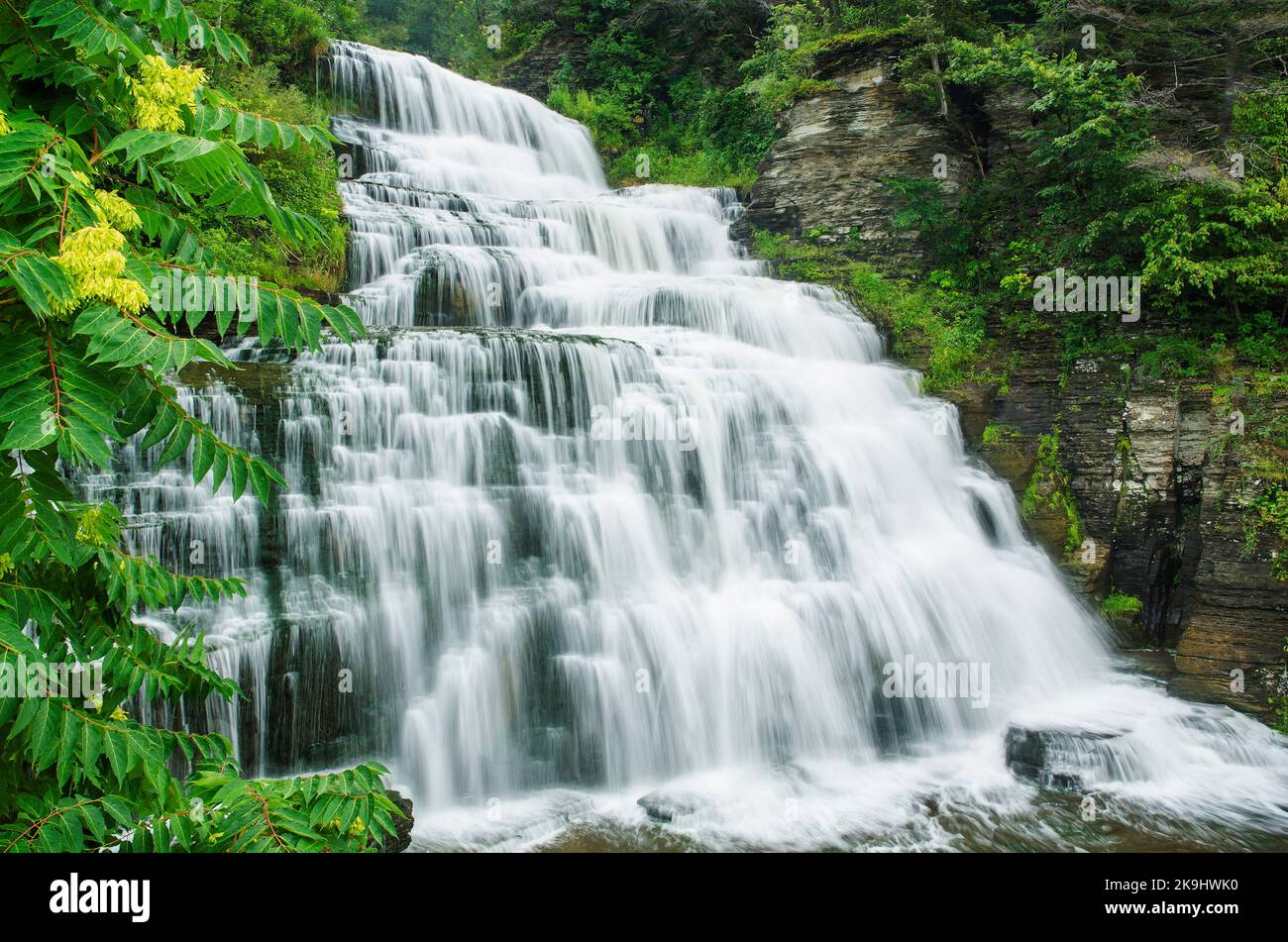 Sumac pousse outre Hector Falls sur Hector Creek, comté de Schuyler, New York Banque D'Images