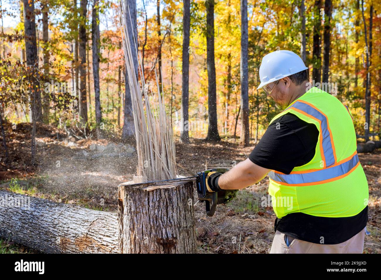 Il y a un travailleur qui coupe les arbres après que le fort ouragan a frappé le parc en automne Banque D'Images