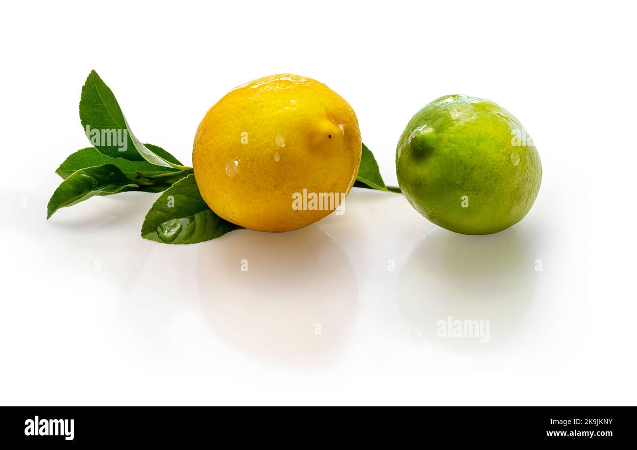 un citron et un citron vert avec des feuilles isolées sur un fond blanc. Ingrédients pour préparer des boissons rafraîchissantes et des cocktails. Banque D'Images