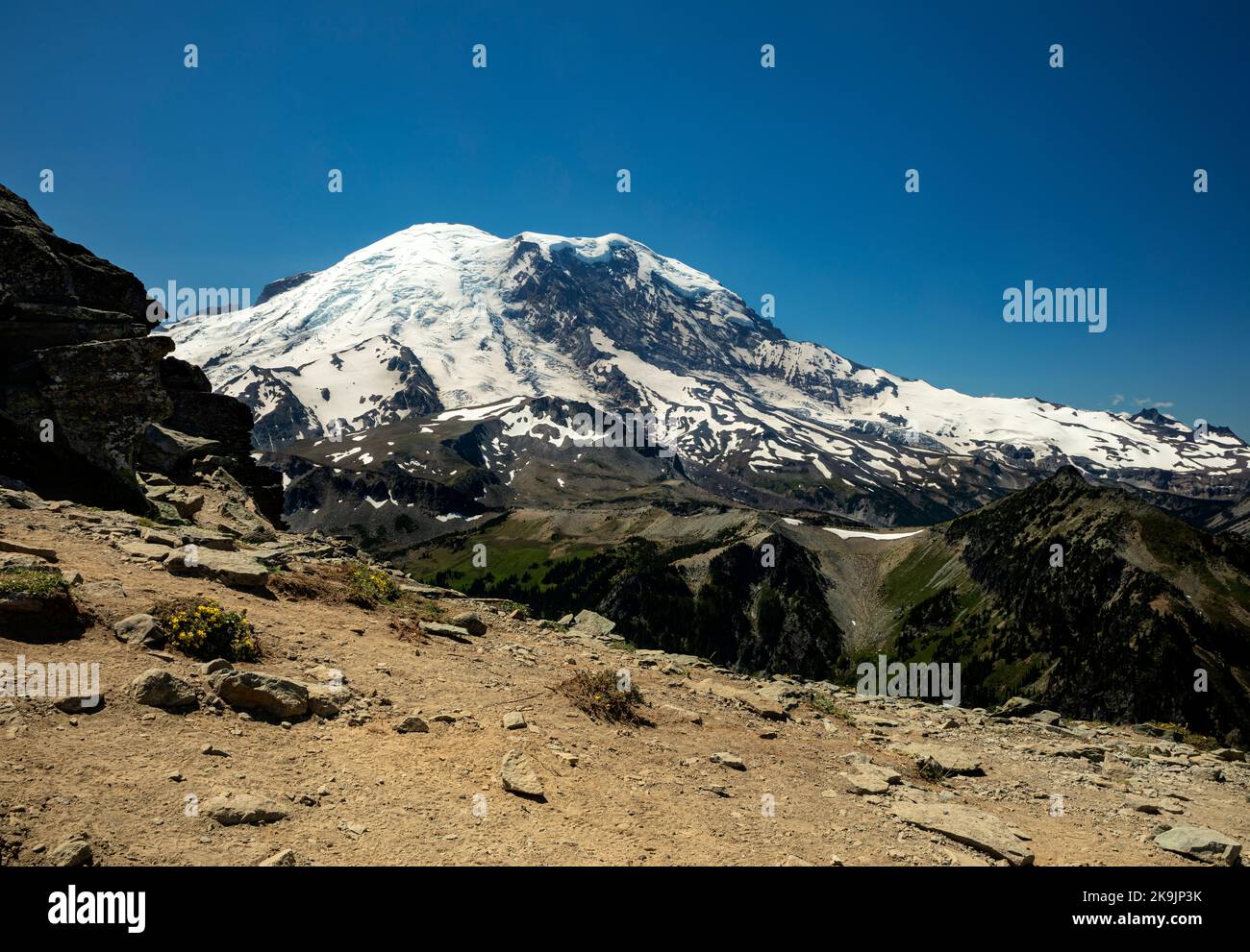 WA22620-00...WASHINGTON - Burroughs Mountains, Mount Ruth et Mount Rainier depuis Fremont Lookout dans le parc national du Mont Rainier. Banque D'Images