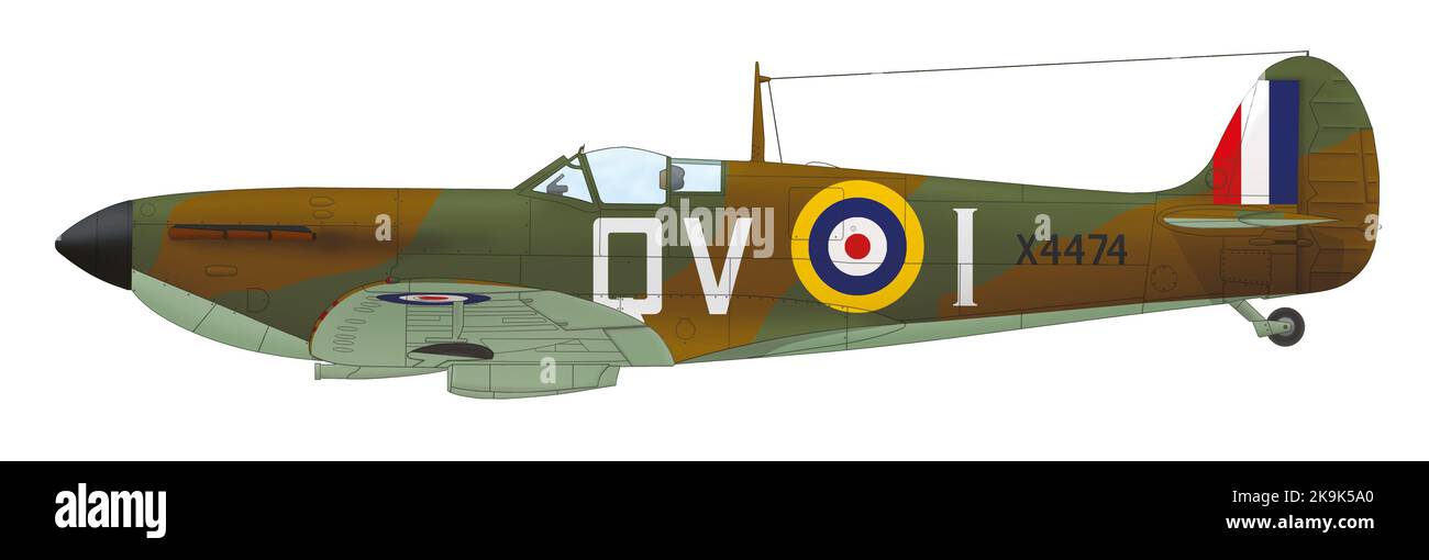 Supermarine Spitfire Mk I (X4474, QV-I) du RAF de l'escadron no 19, été 1940 Banque D'Images