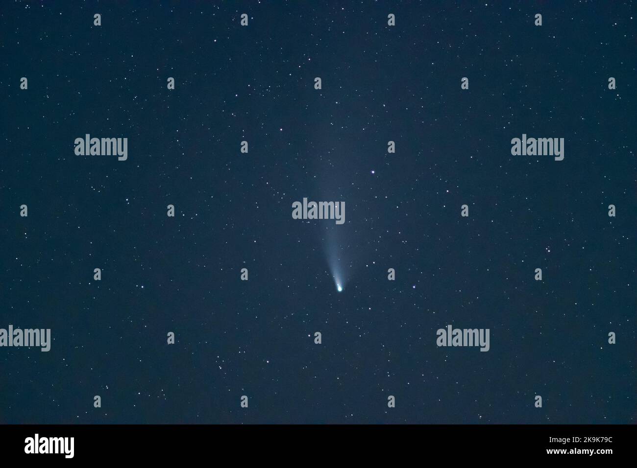 Comet c/2020 F3 Neowise au ciel nocturne profond. Photographie d'astro nature. Banque D'Images
