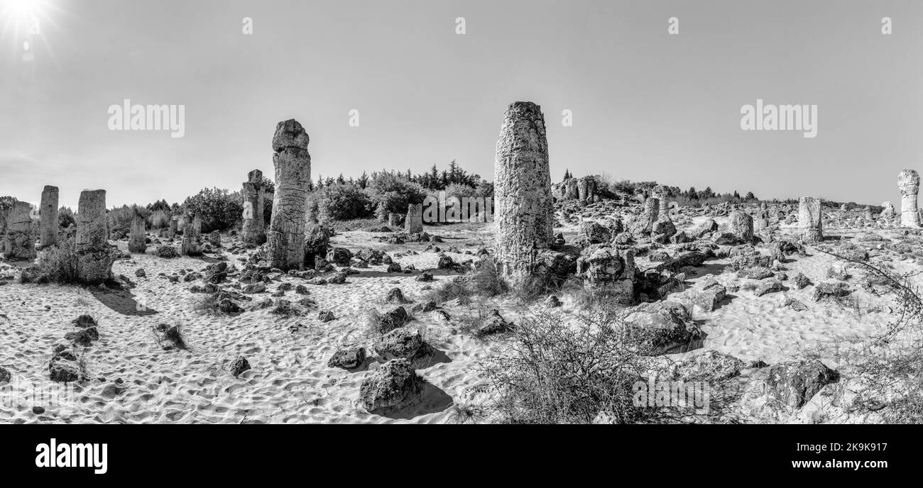 Un paysage panoramique noir et blanc de la Forêt de pierre dans le désert de Pobiti Kamani près de Varna Banque D'Images