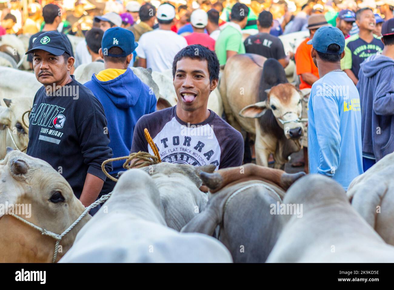 Marché de vente aux enchères de bétail à Batangas, Philippines Banque D'Images