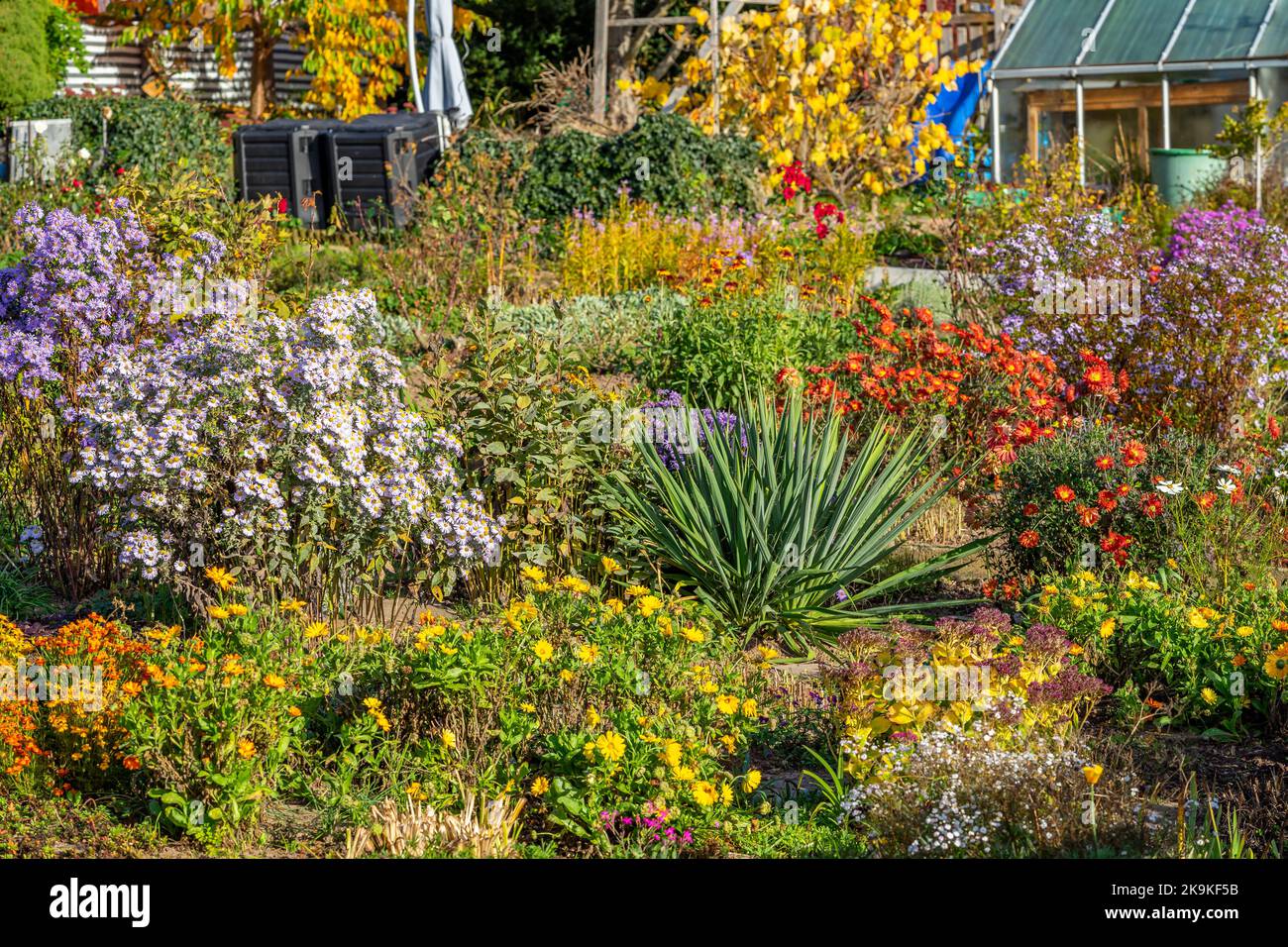 lit de fleurs d'automne dans le jardin Banque D'Images