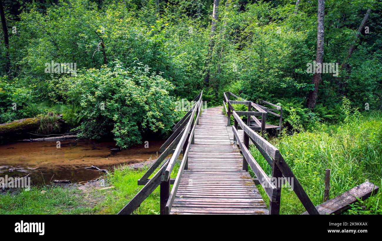 Un petit pont au-dessus de la rivière avec un fond sablonneux près de la chapelle au bord de l'eau. Górecko Kościelne, Pologne Banque D'Images