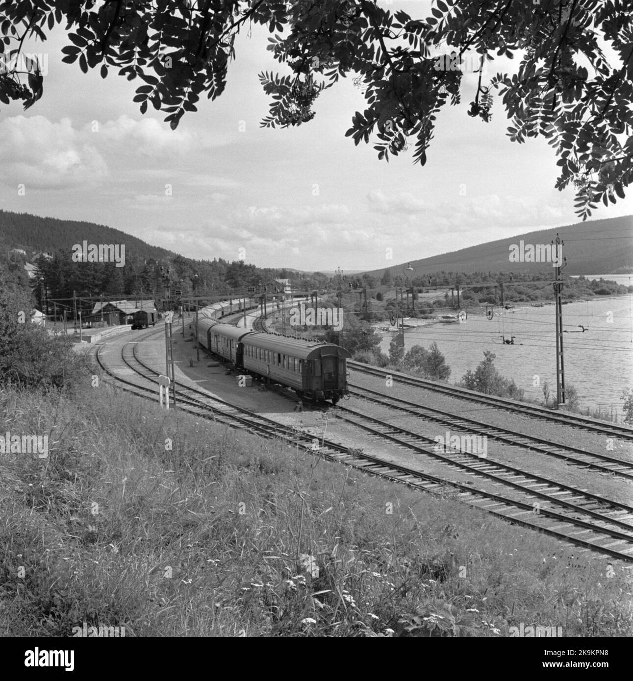 Le train du dollar ', le train est apparu comme une tentative de réduire le déficit de devises d'après-guerre, et ils étaient principalement destinés à des touristes américains forts, d'où le surnom rapidement inventé. Sur 3 juillet 1950, le train part pour la première fois lors d'un voyage d'une semaine dans le cercle arctique. Ils se sont arrêtés. Le voyage à différents sites, tels que Siljansbygden et Dead Fall. SNLC: Sunlit nuits Land Cruise Source: Wikipedia Banque D'Images