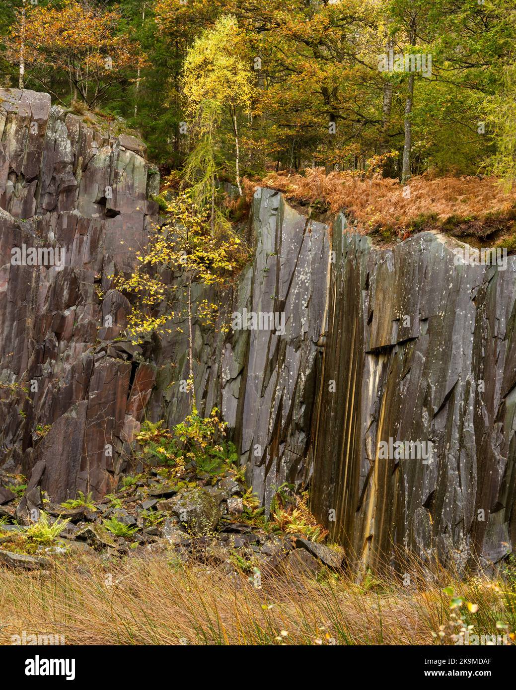 Ancienne mine d'ardoise dans le Lake District, Cumbria, Royaume-Uni Banque D'Images