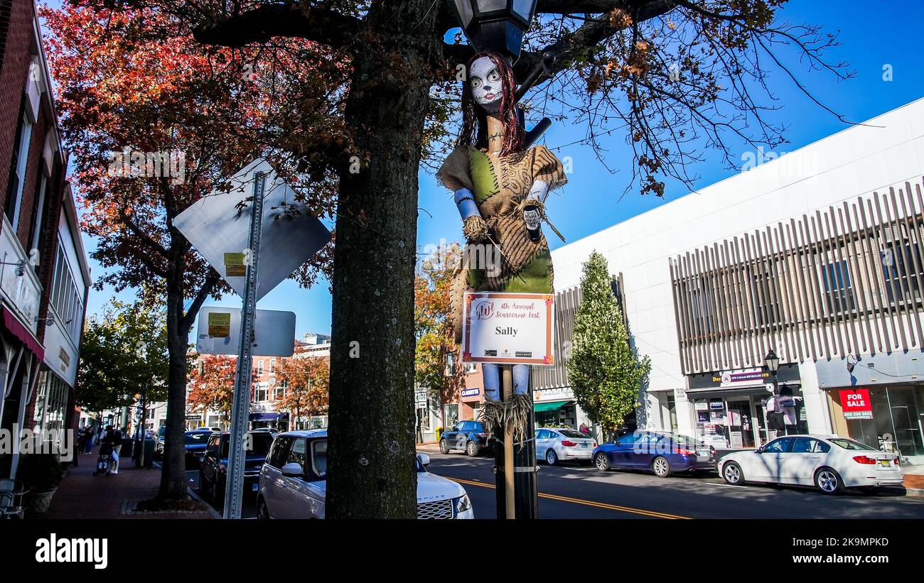 NEW CANAAN, CT, USA - 22 OCTOBRE 2022: Elm Street Corner avec la décoration d'Halloween de 6th Scarecrow fest Banque D'Images