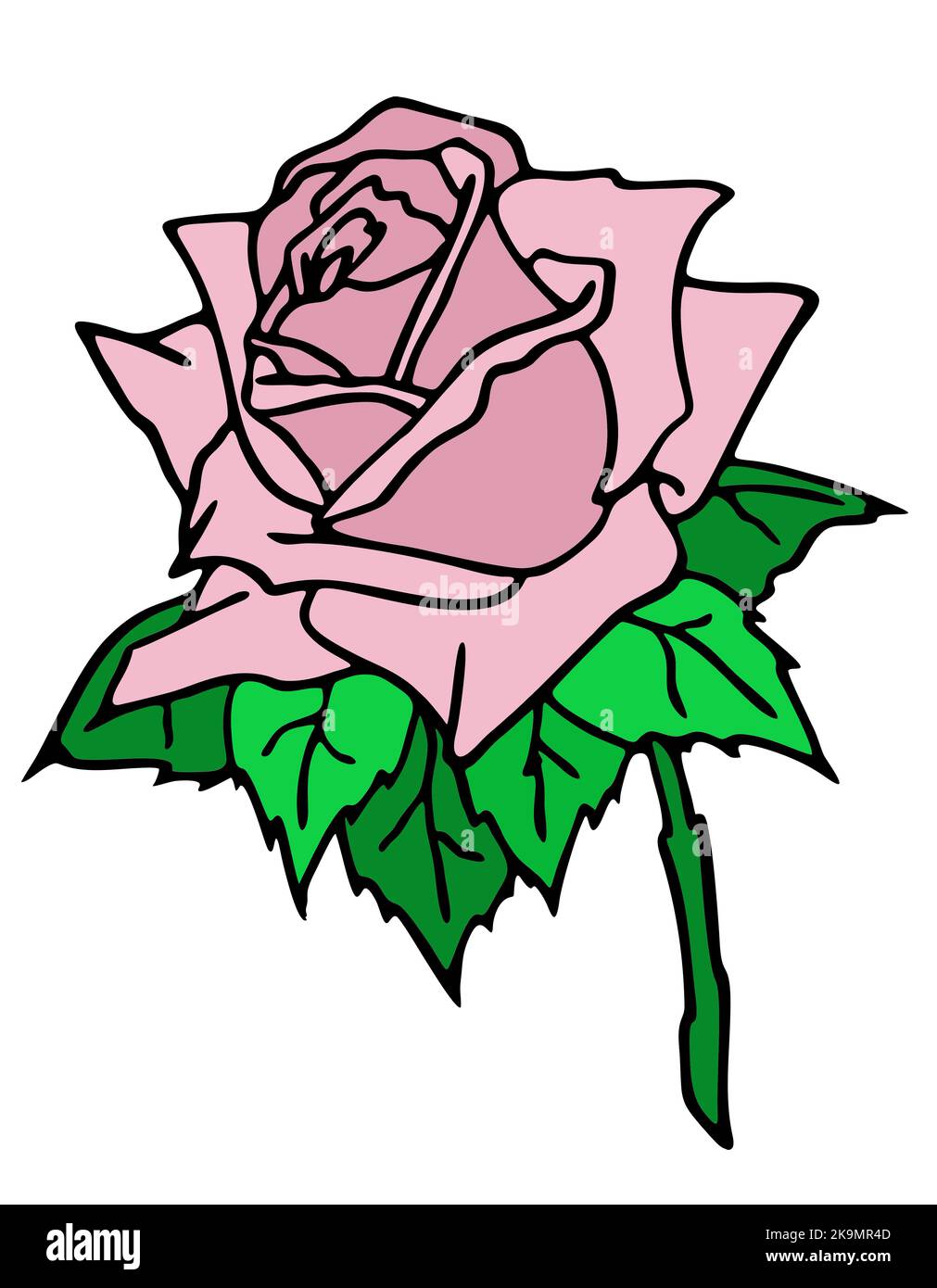 dessin de branche de rose avec fleur rose et feuilles, élément isolé, conception Banque D'Images