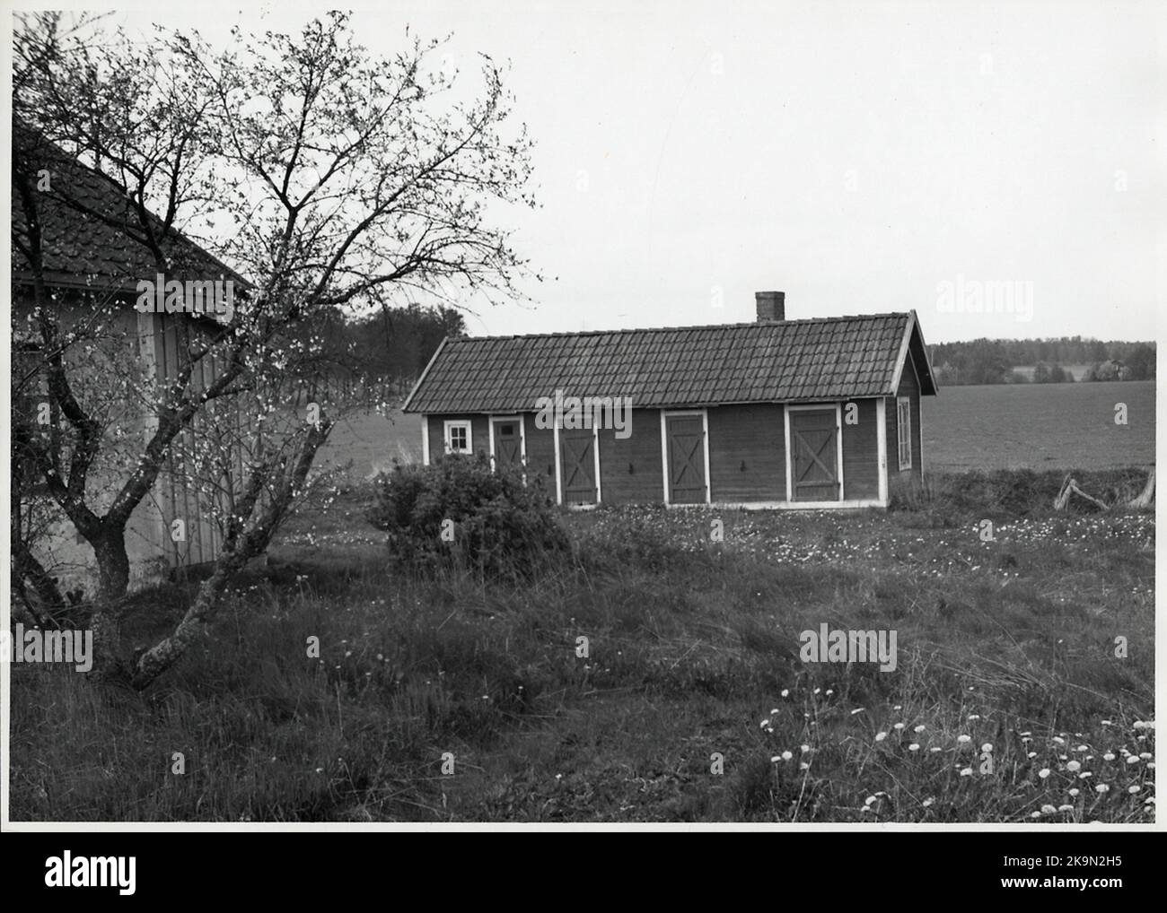 Dépendances derrière la cabine de garde-piste numéro 1 sur la ligne entre Hjo et Stenstorp. La maison de garde-piste est appelée les portes de la crête et a été gérée depuis plusieurs années par l'association Hjo Garden et l'association Hjo Beekeeper. Banque D'Images