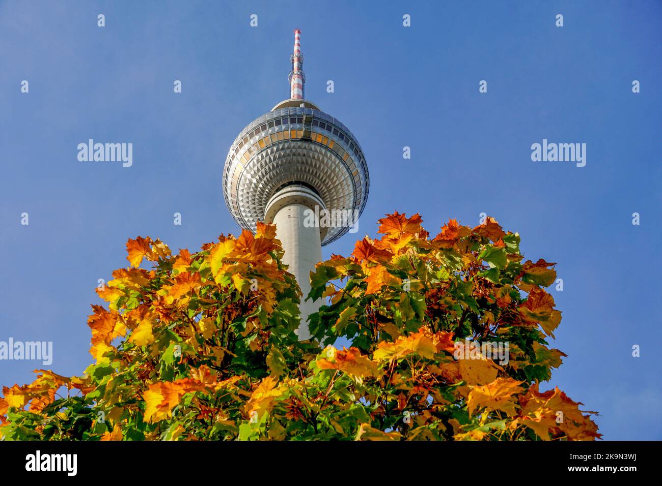 Fersehturm, Alexanderplatz, Herbst, Berlin Banque D'Images
