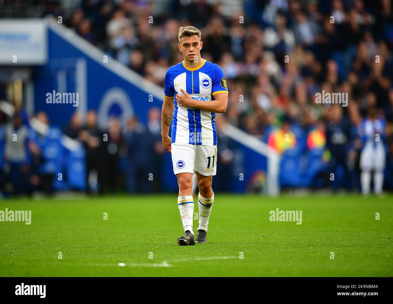 Brighton, Royaume-Uni. 29th octobre 2022. Leandro Trossard de Brighton et Hove Albion lors du match de la Premier League entre Brighton et Hove Albion et Chelsea à l'Amex on 29 octobre 2022 à Brighton, en Angleterre. (Photo de Jeff Mood/phcimages.com) Credit: PHC Images/Alamy Live News Banque D'Images