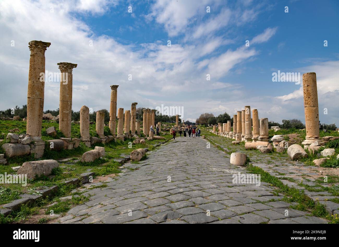 Roman Decumanus Maximus Umm Qais (Gadara) Jordanie Banque D'Images