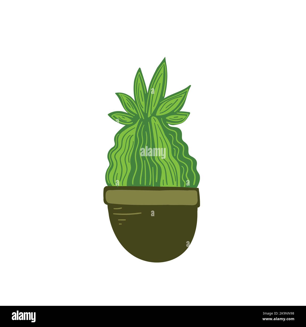 Cactus vert. Plante de maison en pot floral ou en jardinière. Illustration vectorielle. Illustration de Vecteur