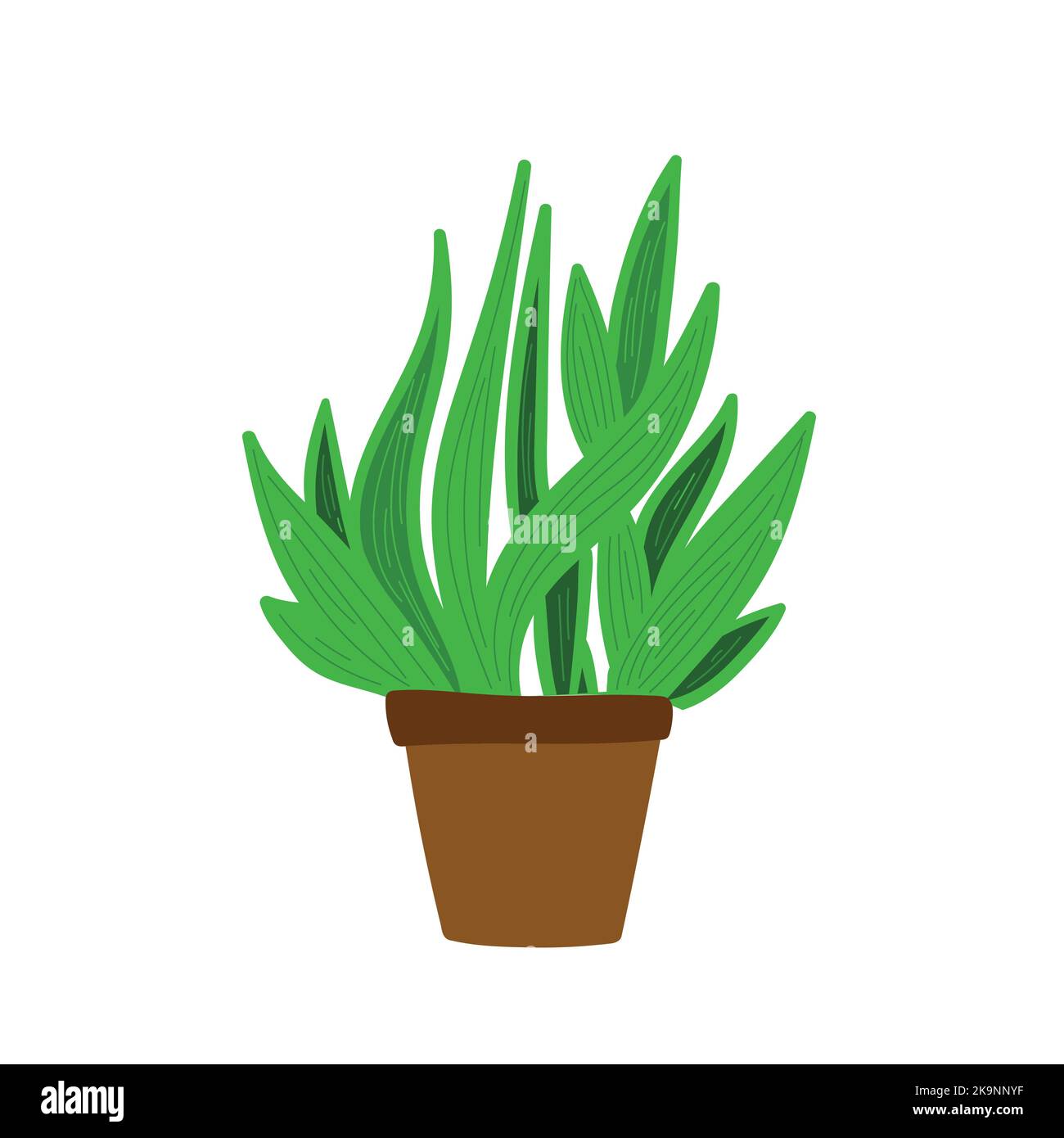 Plante de maison verte en pot floral ou en jardinière. Illustration vectorielle. Illustration de Vecteur