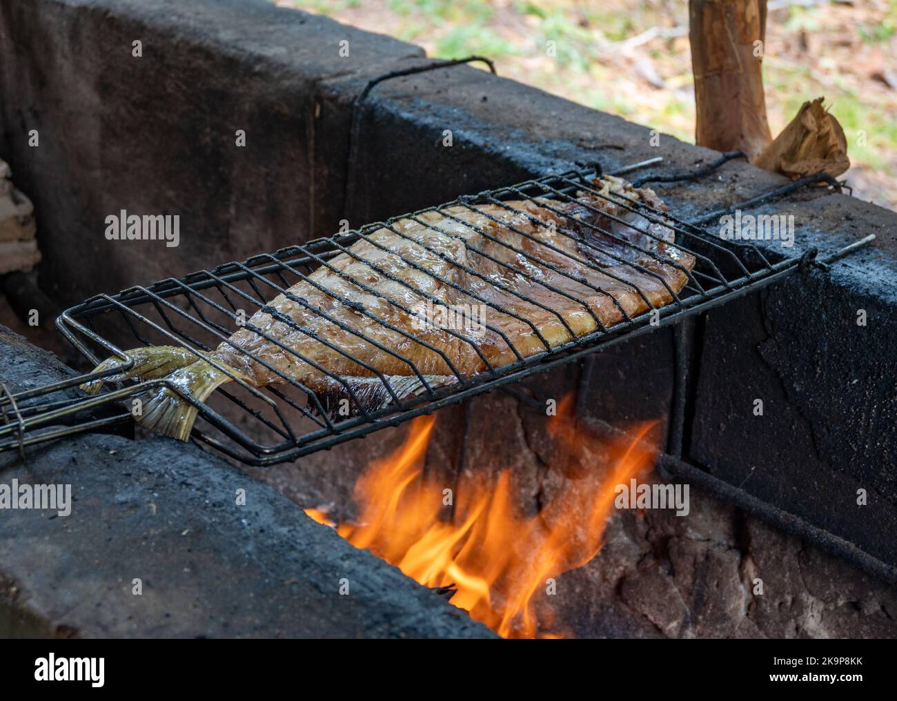 Un grand poisson d'eau douce est grillé au feu dans un style brésilien traditionnel. Manaus, Amazonas, Brésil Banque D'Images