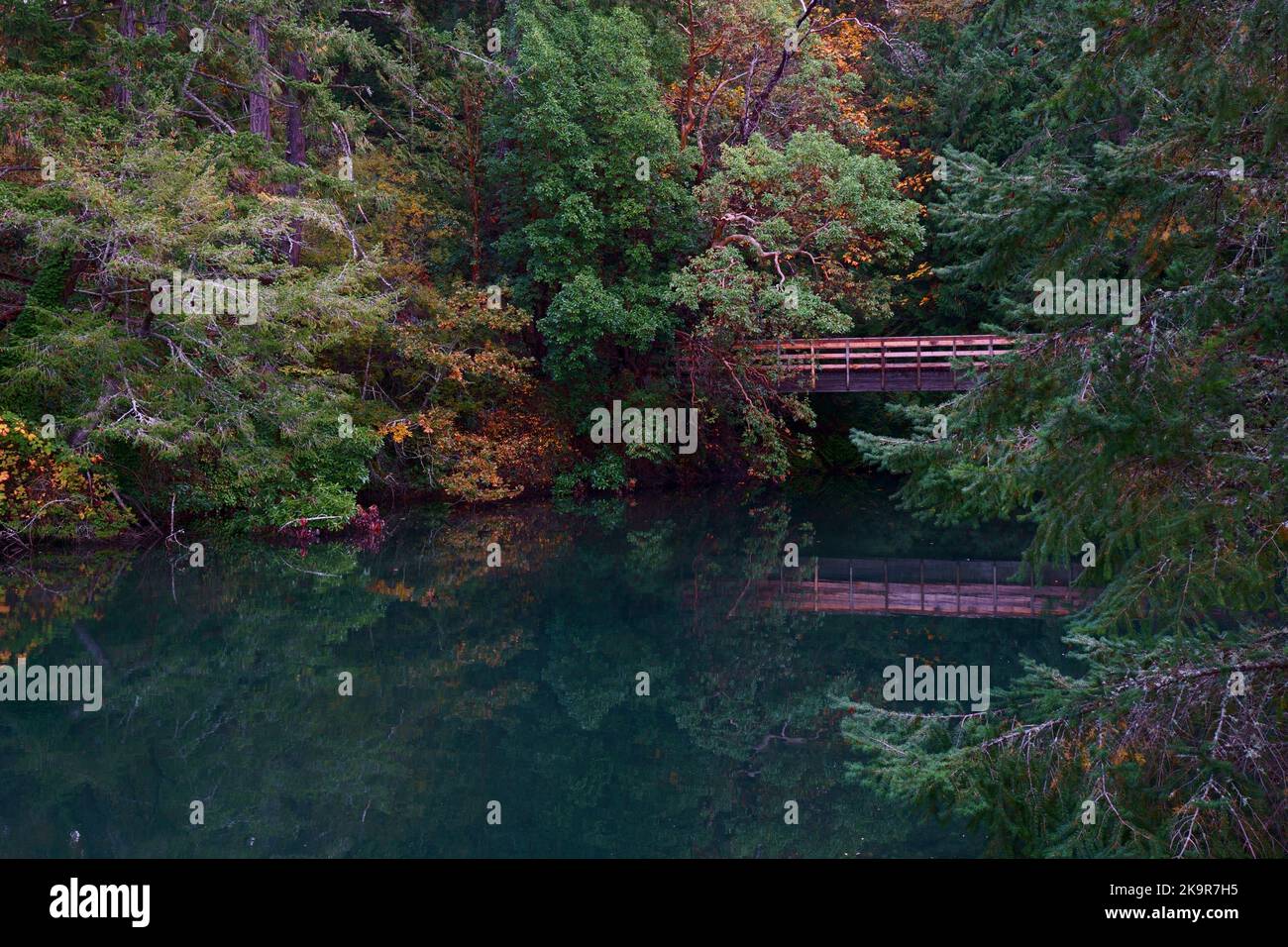 Pont réfléchissant sur la crique Banque D'Images
