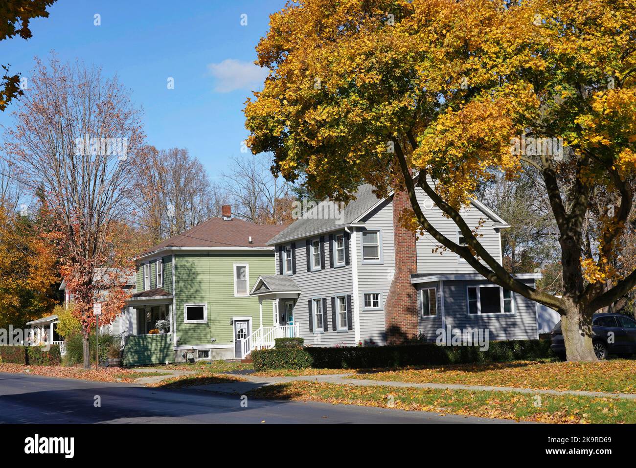 Rue résidentielle suburbaine aux couleurs vives de l'automne et maisons de classe moyenne avec parement en aluminium Banque D'Images