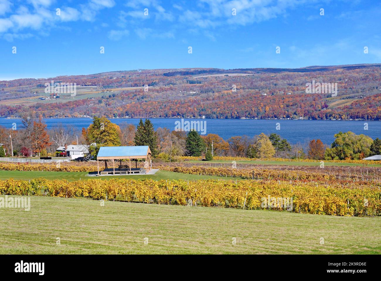 Lac Seneca dans les lacs Finger, avec des feuilles de vignes qui changent aux couleurs vives de l'automne Banque D'Images