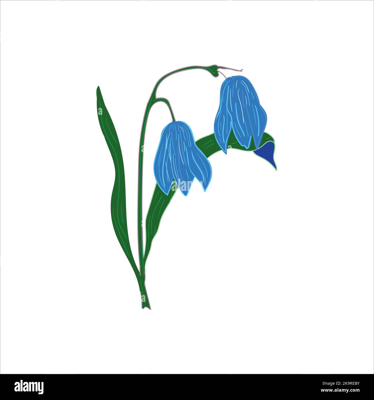 Illustration de fleurs de printemps bleues sur fond blanc. Illustration de Vecteur
