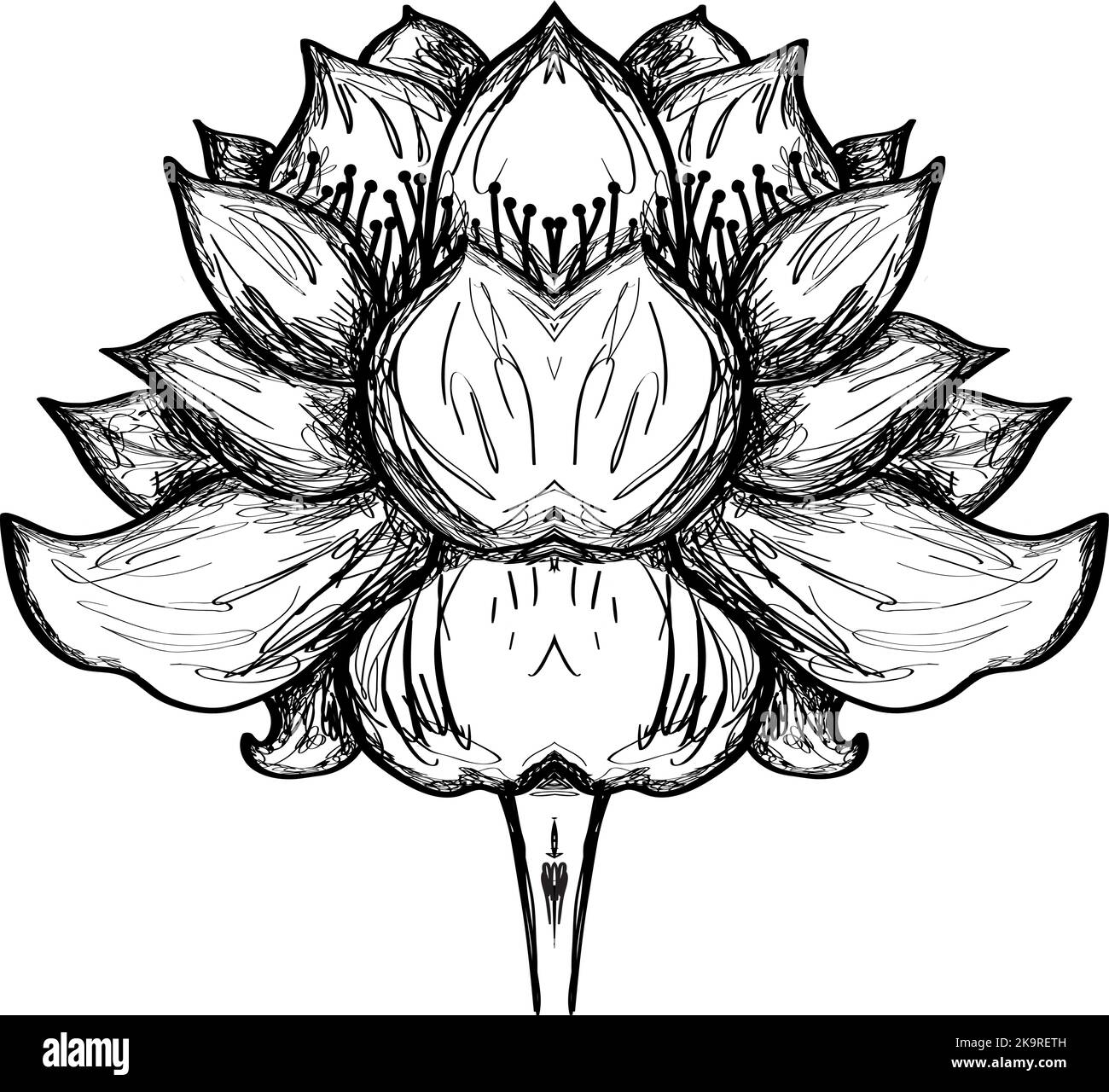Fleur de lotus stylisée. Illustration vectorielle. Élément pour la conception Illustration de Vecteur
