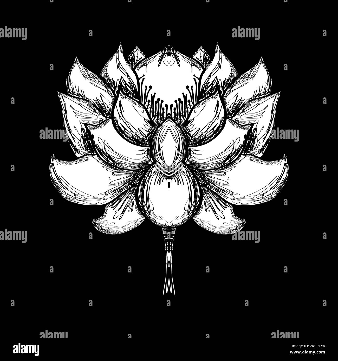 Fleur de lotus stylisée. Illustration vectorielle. Élément pour la conception Illustration de Vecteur