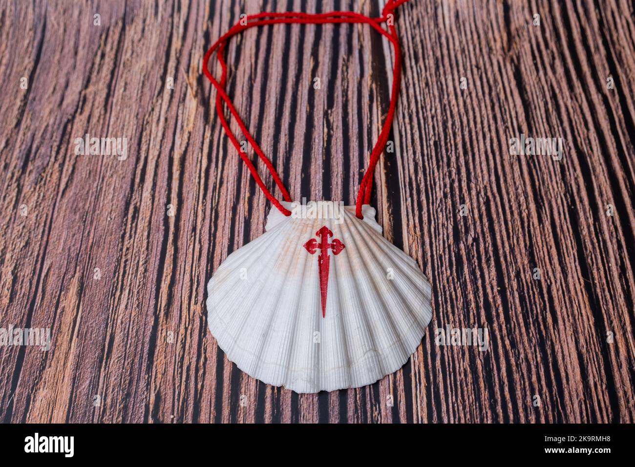 Pilgrim Scallop coquillages avec la Croix de l'ordre de Santiago. Symbole typique de pèlerinage dans le chemin de saint james isolé sur bois Banque D'Images